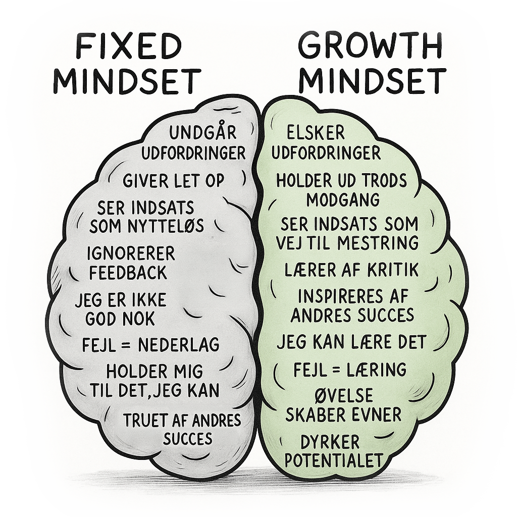 Hjerne der viser forskel på fixed og growth mindset