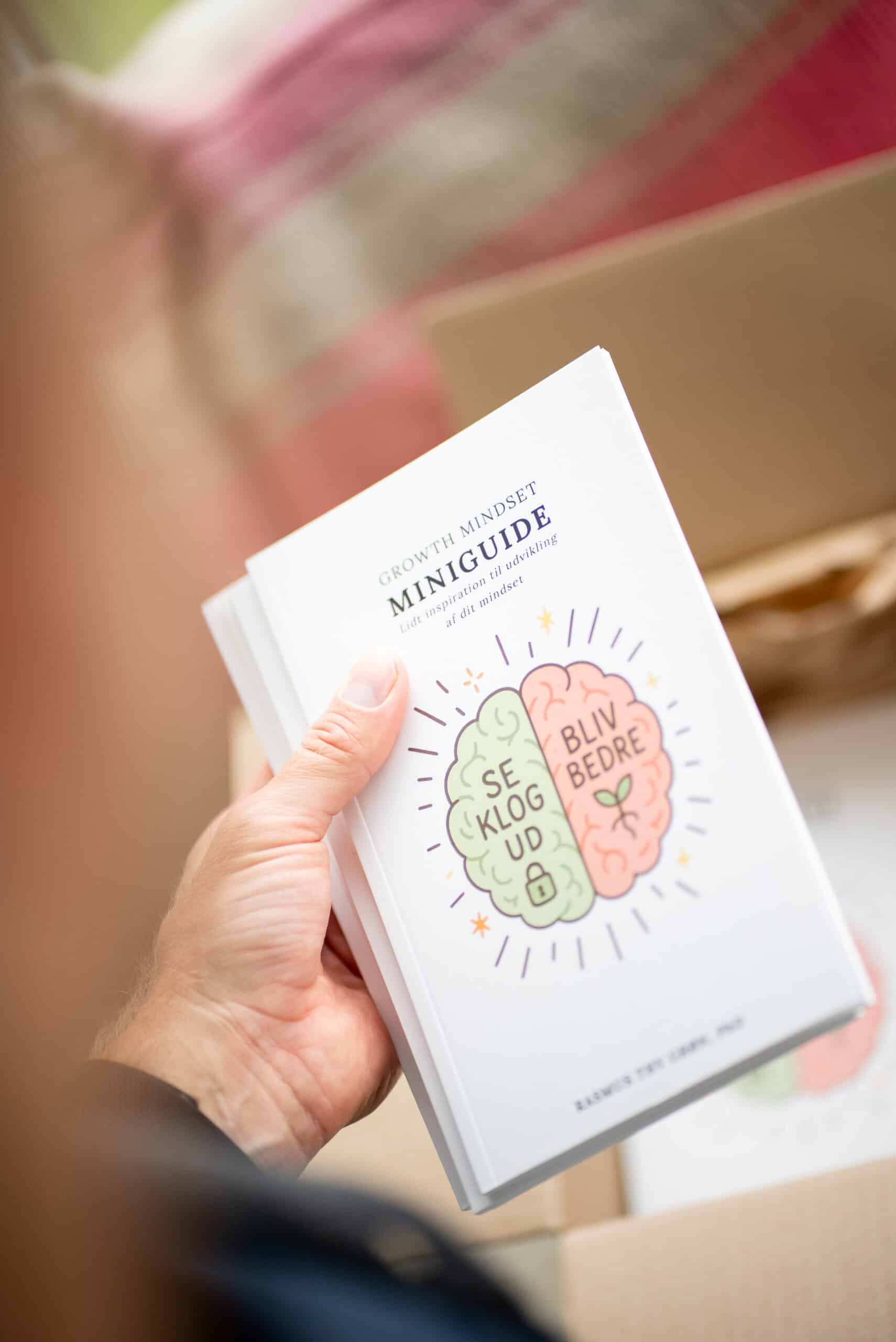 Mindset miniguide bog
